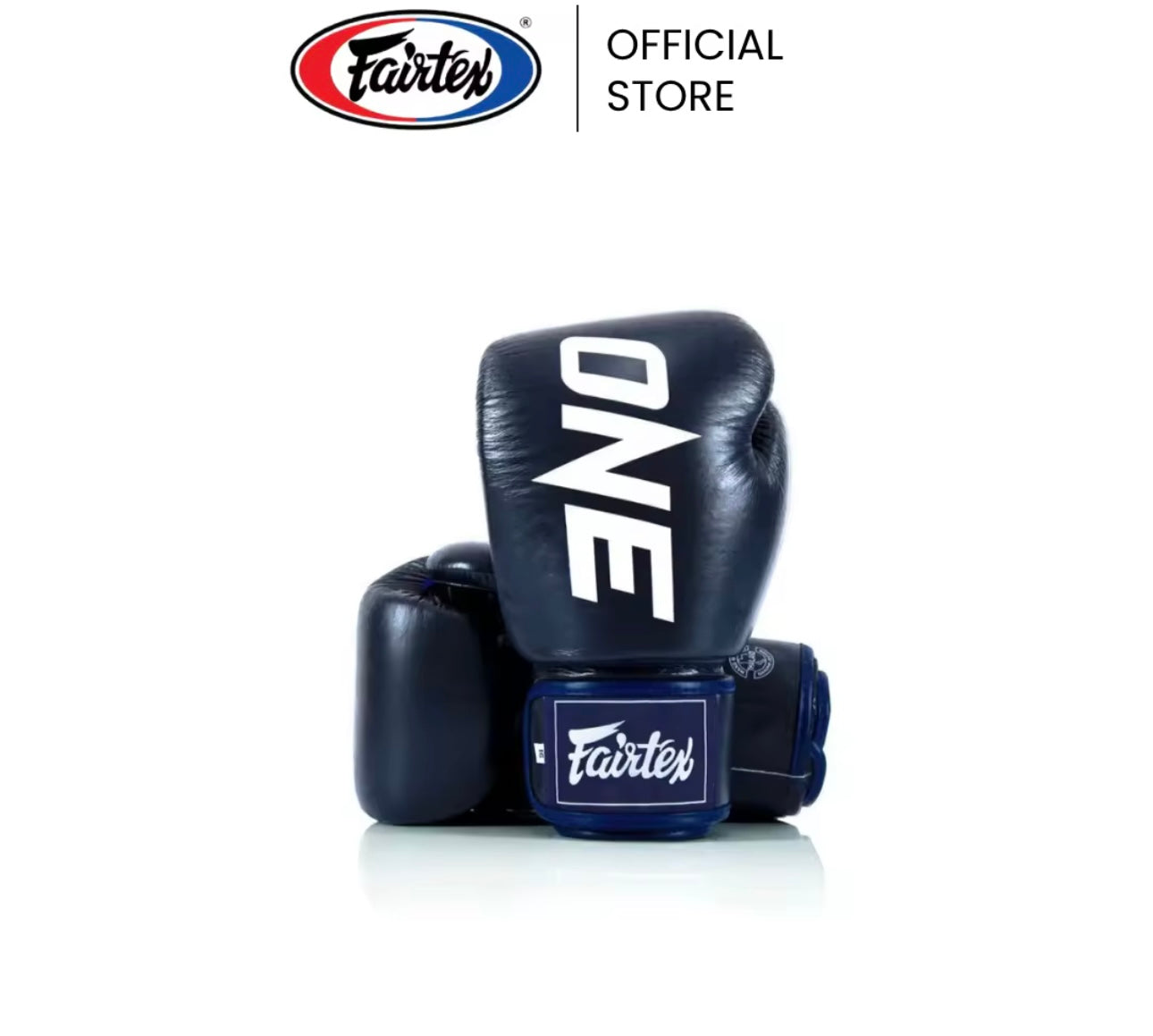 FAIRTEX BOXING GLOVES BGV1 ONE X